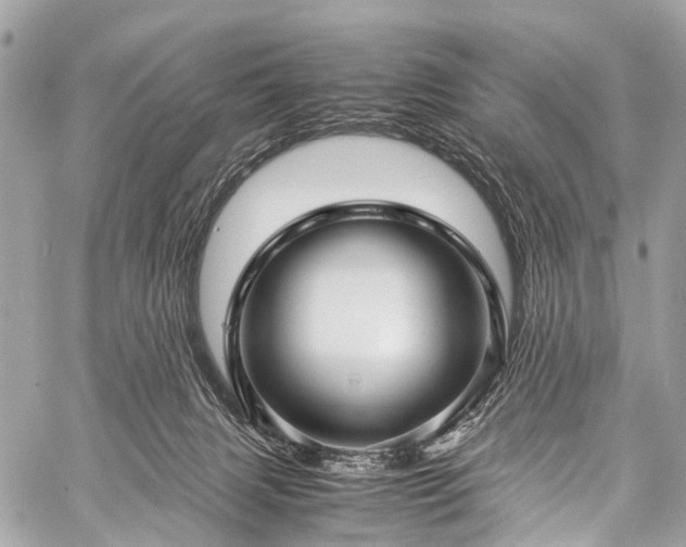 X0000059250079200510171508