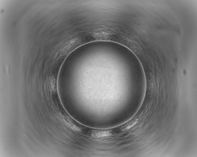 X0000059250081200510171508