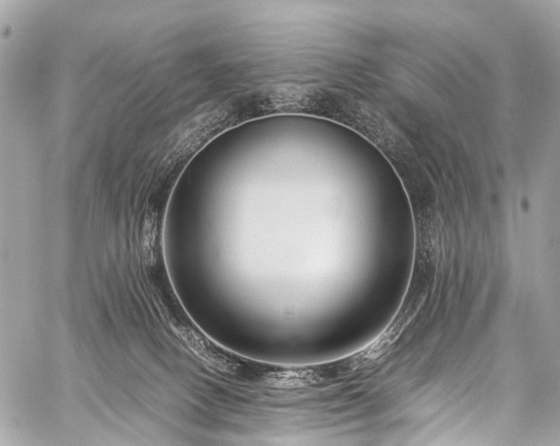 X0000059250082200510171508