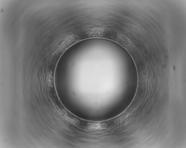 X0000059250083200510171508