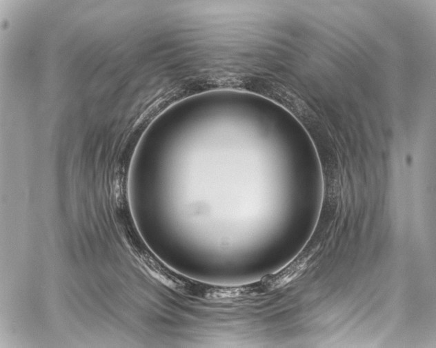 X0000059250084200510171508