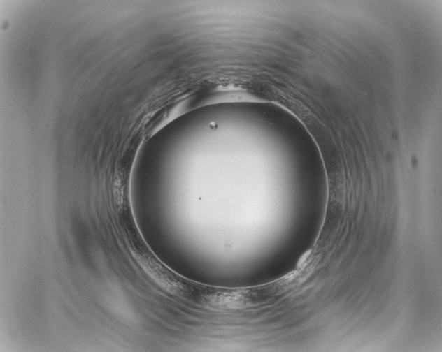 X0000059250086200510171508