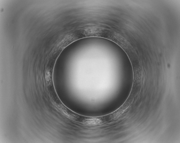 X0000059250087200510171508