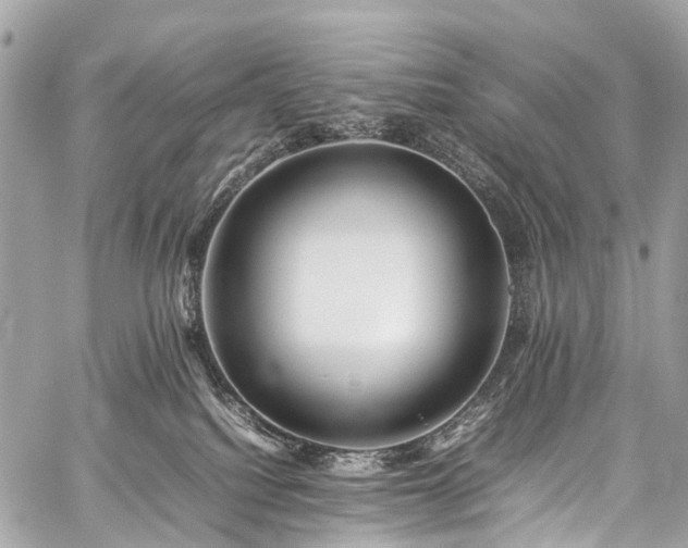 X0000059250088200510171508