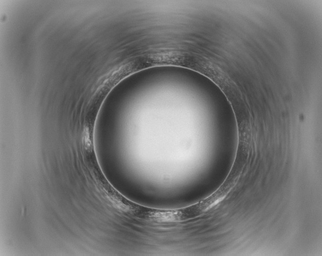 X0000059250089200510171509