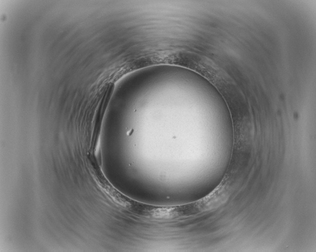 X0000059250090200510171509