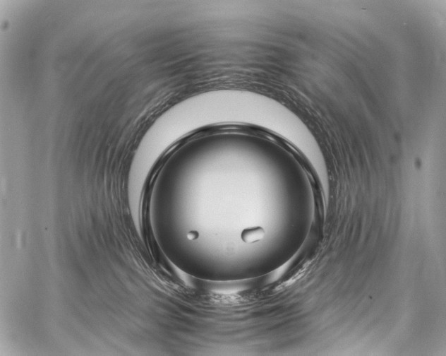 X0000059250091200510171509