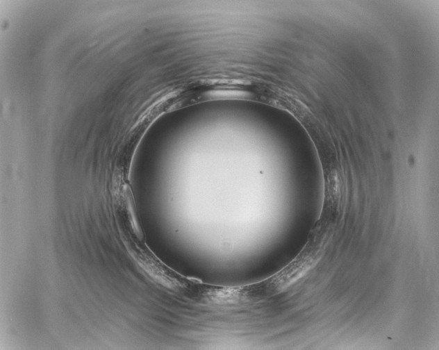 X0000059250092200510171509