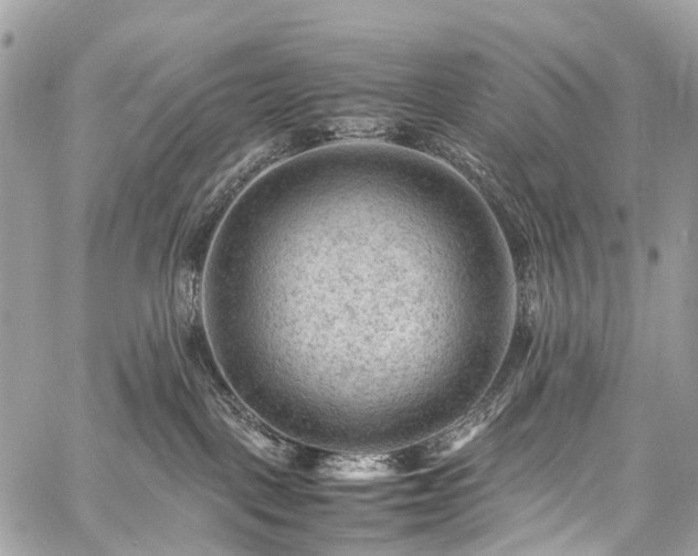 X0000059250093200510171509