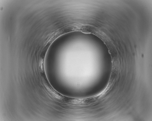 X0000059250094200510171509