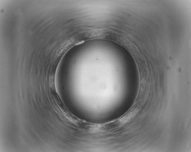 X0000059250096200510171509