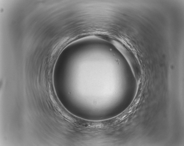 X0000059250097200510171508