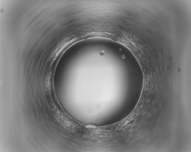 X0000059250098200510171508