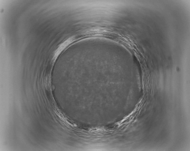 X0000059250099200510171508