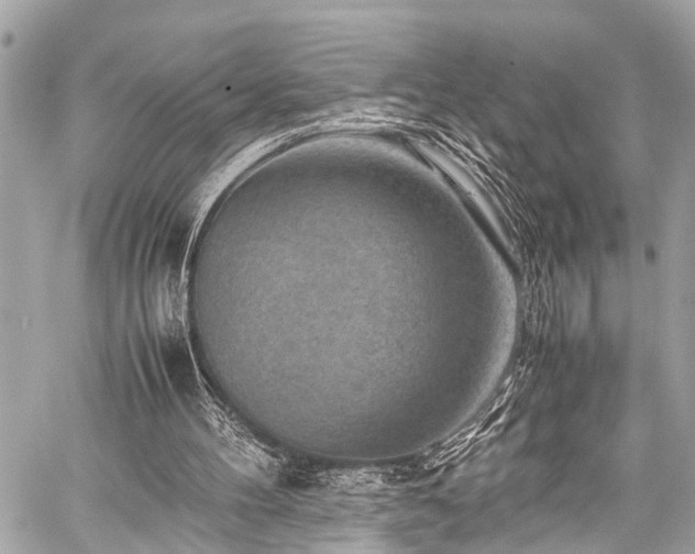 X0000059250100200510171508