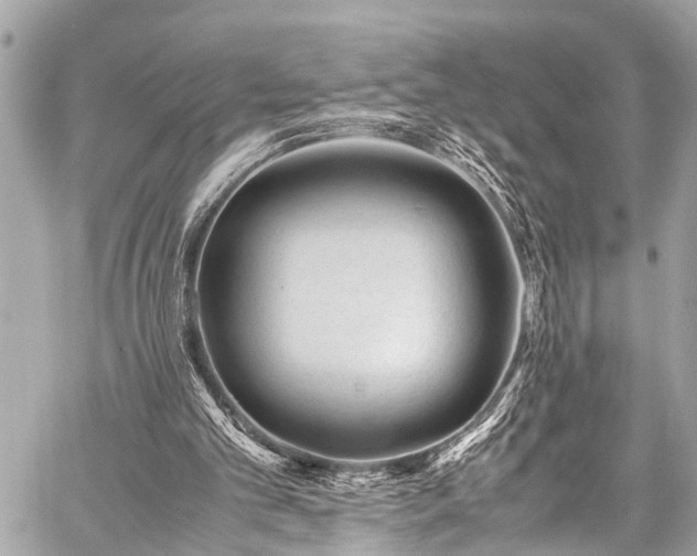 X0000059250101200510171508