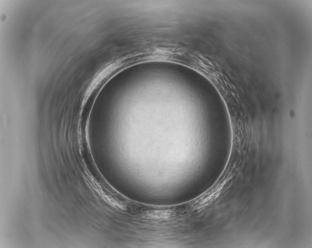 X0000059250102200510171508