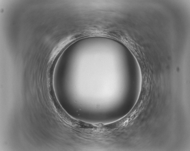 X0000059250103200510171508