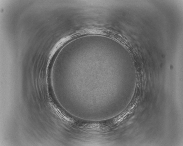 X0000059250104200510171508