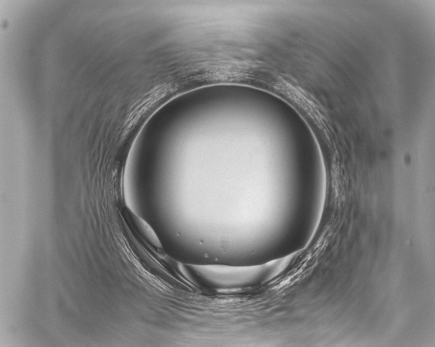 X0000059250105200510171508