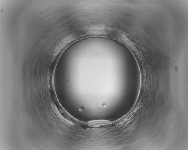 X0000059250106200510171508