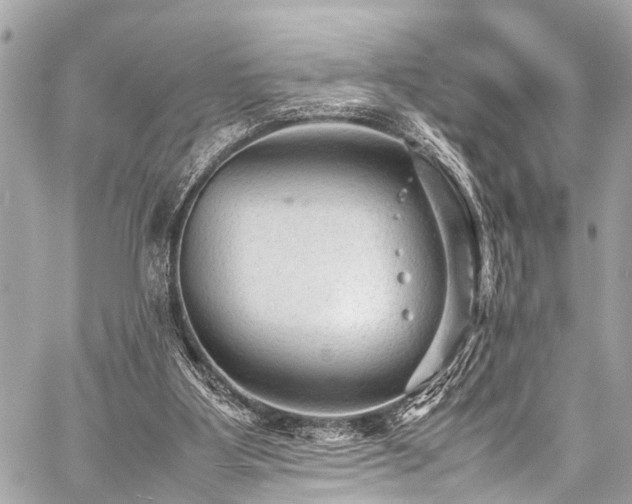 X0000059250107200510171508