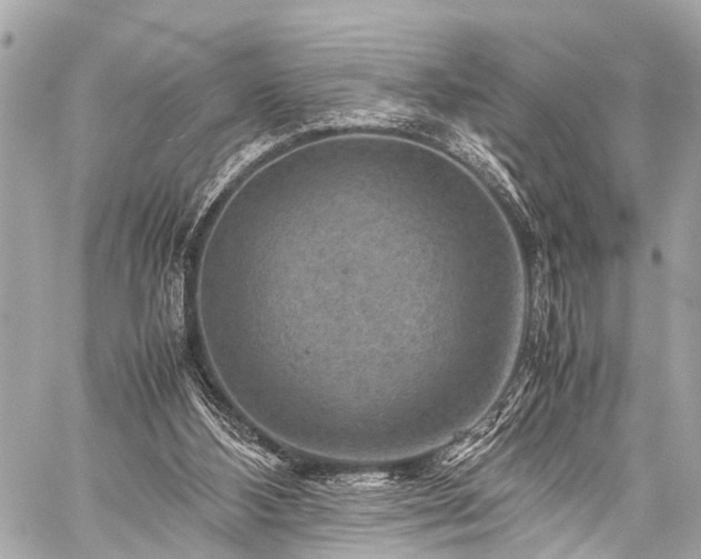 X0000059250108200510171508