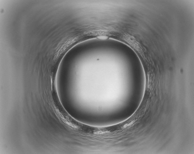 X0000059250109200510171508