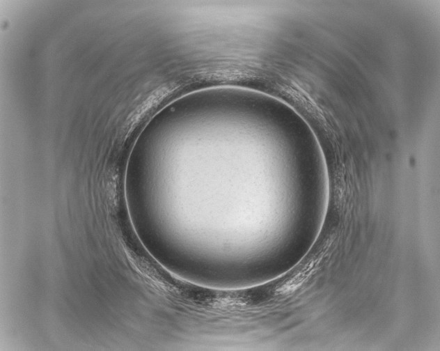 X0000059250111200510171508