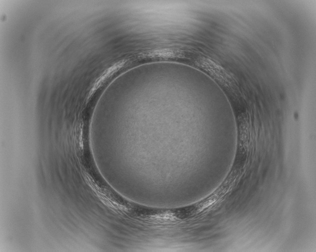 X0000059250112200510171508