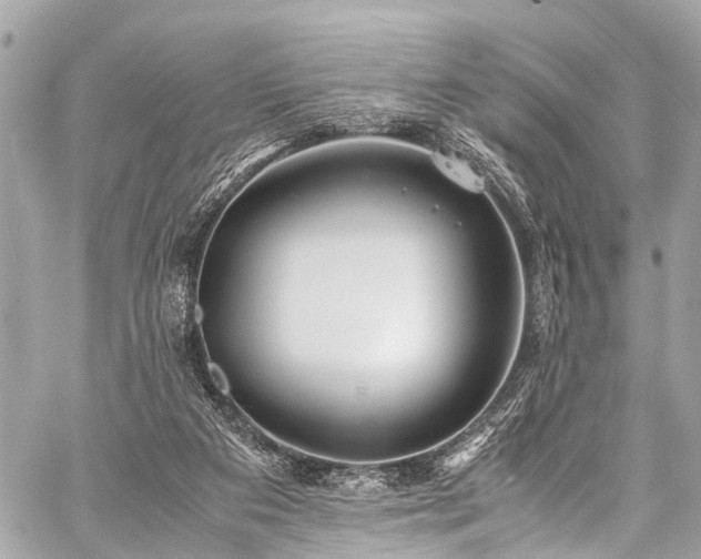 X0000059250113200510171508