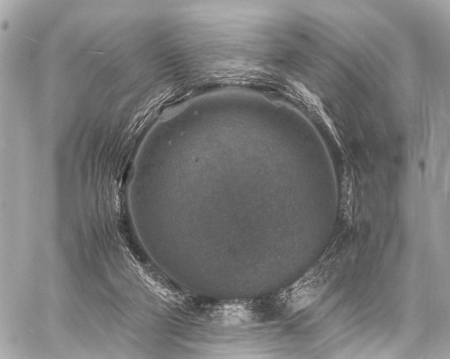 X0000059250114200510171508