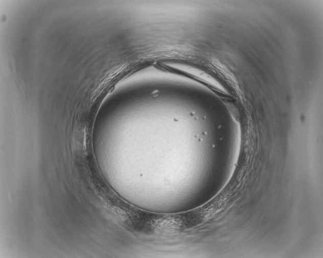 X0000059250115200510171508