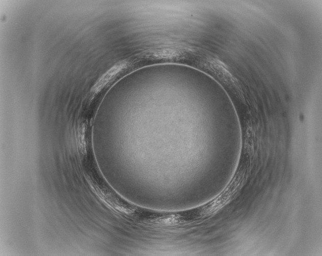 X0000059250116200510171508