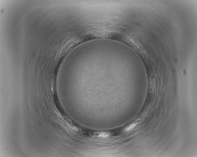 X0000059250117200510171508