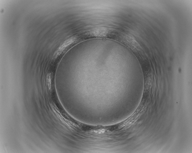 X0000059250120200510171507