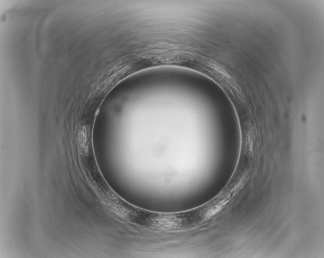 X0000059250121200510171507