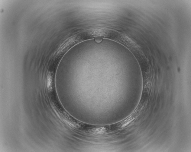 X0000059250124200510171507