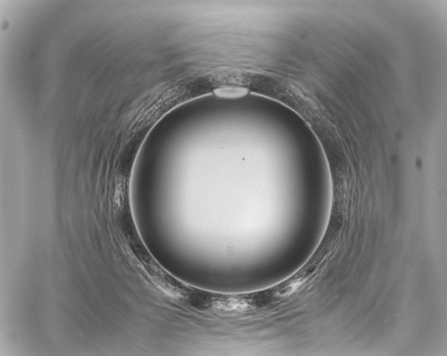 X0000059250125200510171507