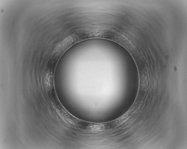 X0000059250126200510171507