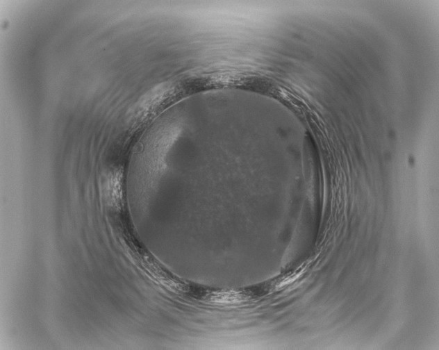 X0000059250127200510171507