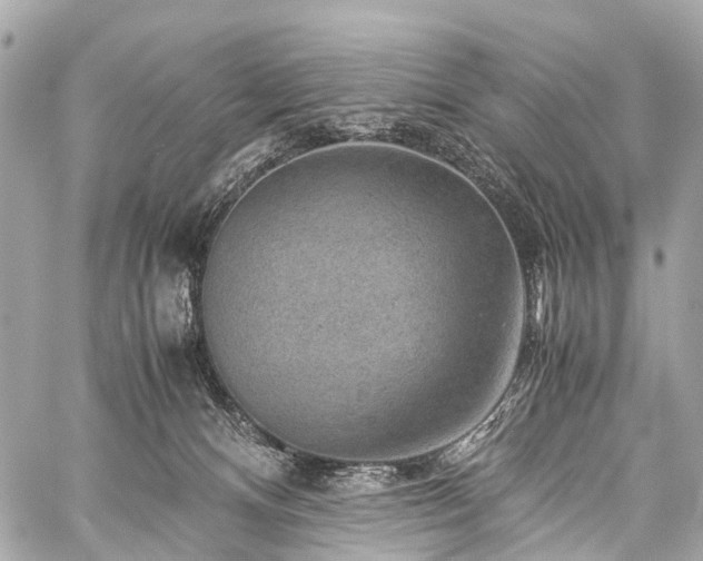 X0000059250128200510171507