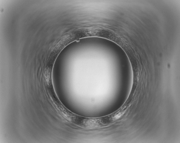 X0000059250129200510171507