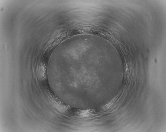 X0000059250130200510171507