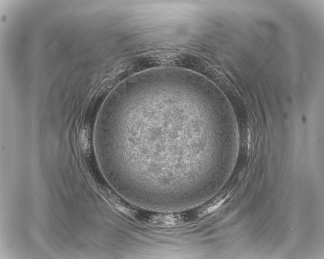 X0000059250131200510171507