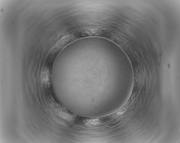 X0000059250132200510171507