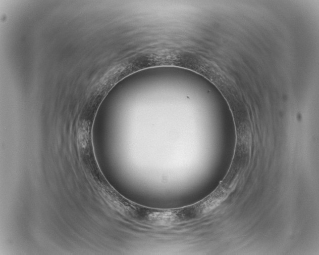 X0000059250133200510171507