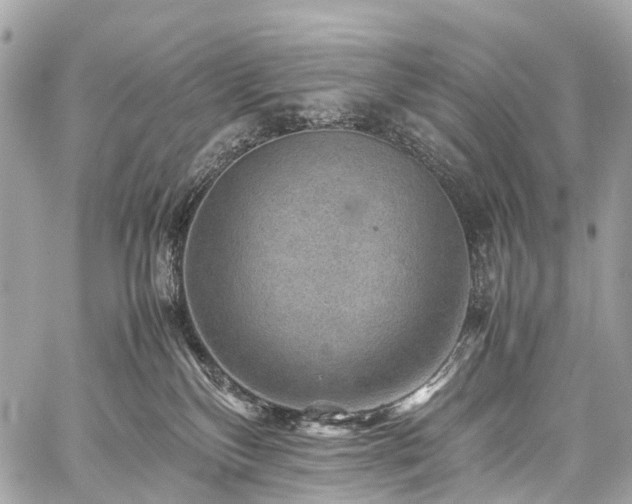 X0000059250136200510171507