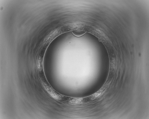 X0000059250138200510171507