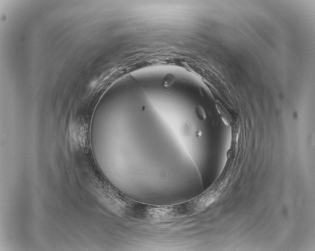 X0000059250139200510171507